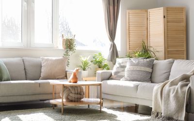 Maximize natural light in your Houston custom home