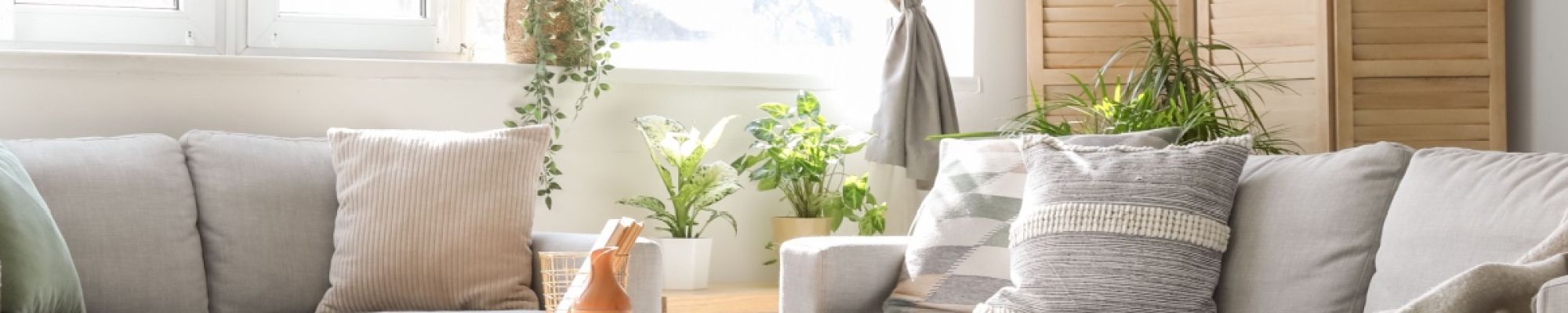 Maximize natural light in your Houston custom home